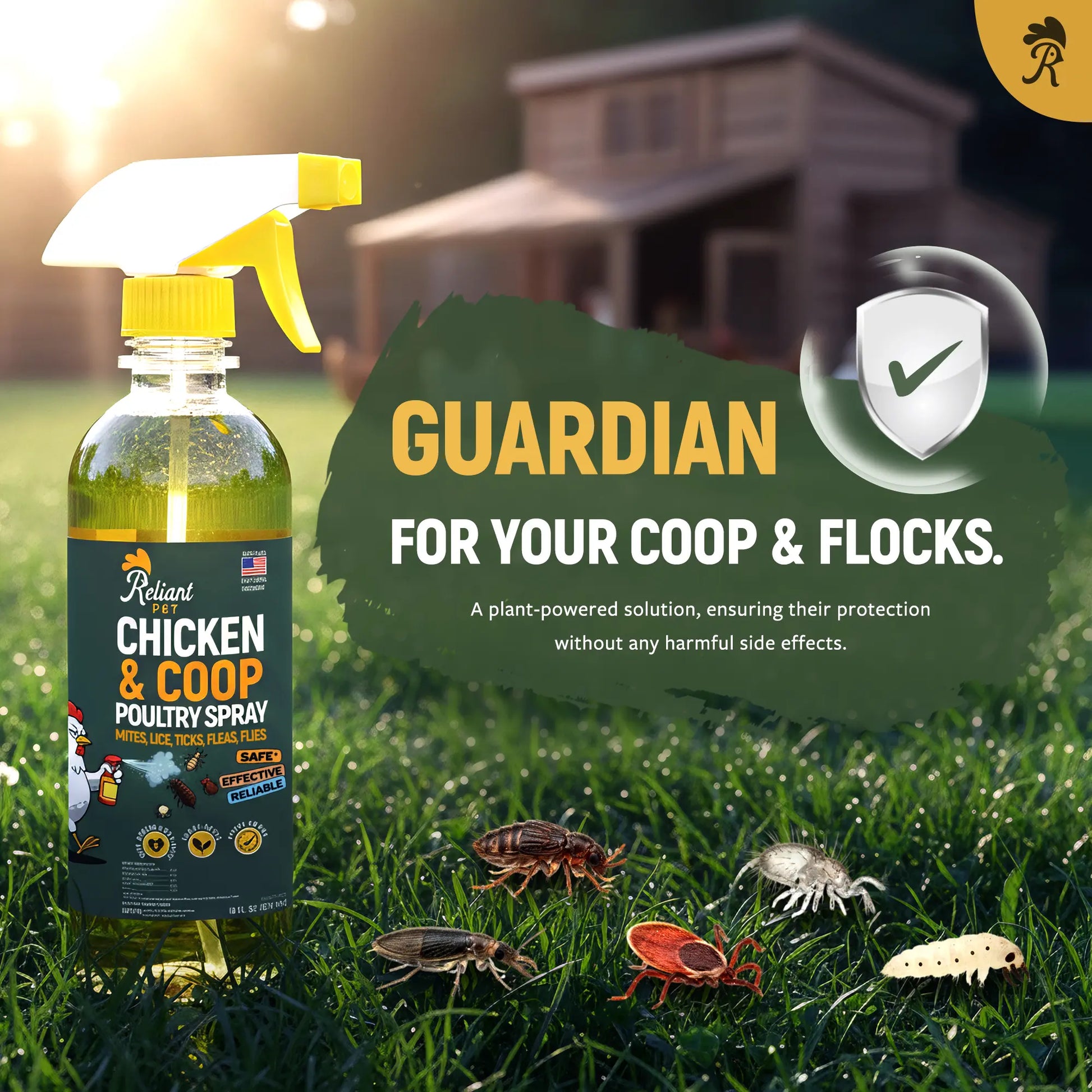 Reliant Pet Chicken & Coop Poultry Spray for Mites,Lice,Ticks,Fleas and Flies - Safe for Use on Chickens and No Egg Removal Needed - Sale - Mother'S Day Sale - Father'S Day Sale - Deals for You Days Sale