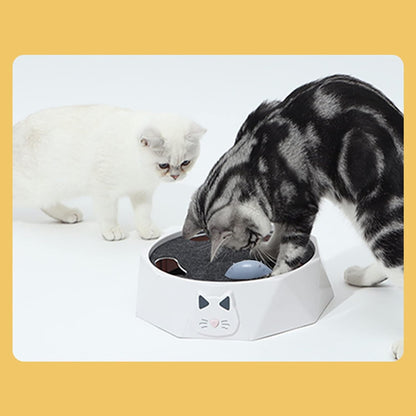 Interactive Cat Turntable Toy, Electric Cat Toys 2 Speed Adjustable Automatic Puzzle Catch Mouse Play Cat Toy for Pet Supplies